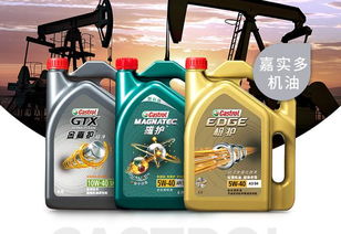 汽車潤(rùn)滑油品牌盤點(diǎn)與選購(gòu)指南 為愛車選擇最佳“血液”